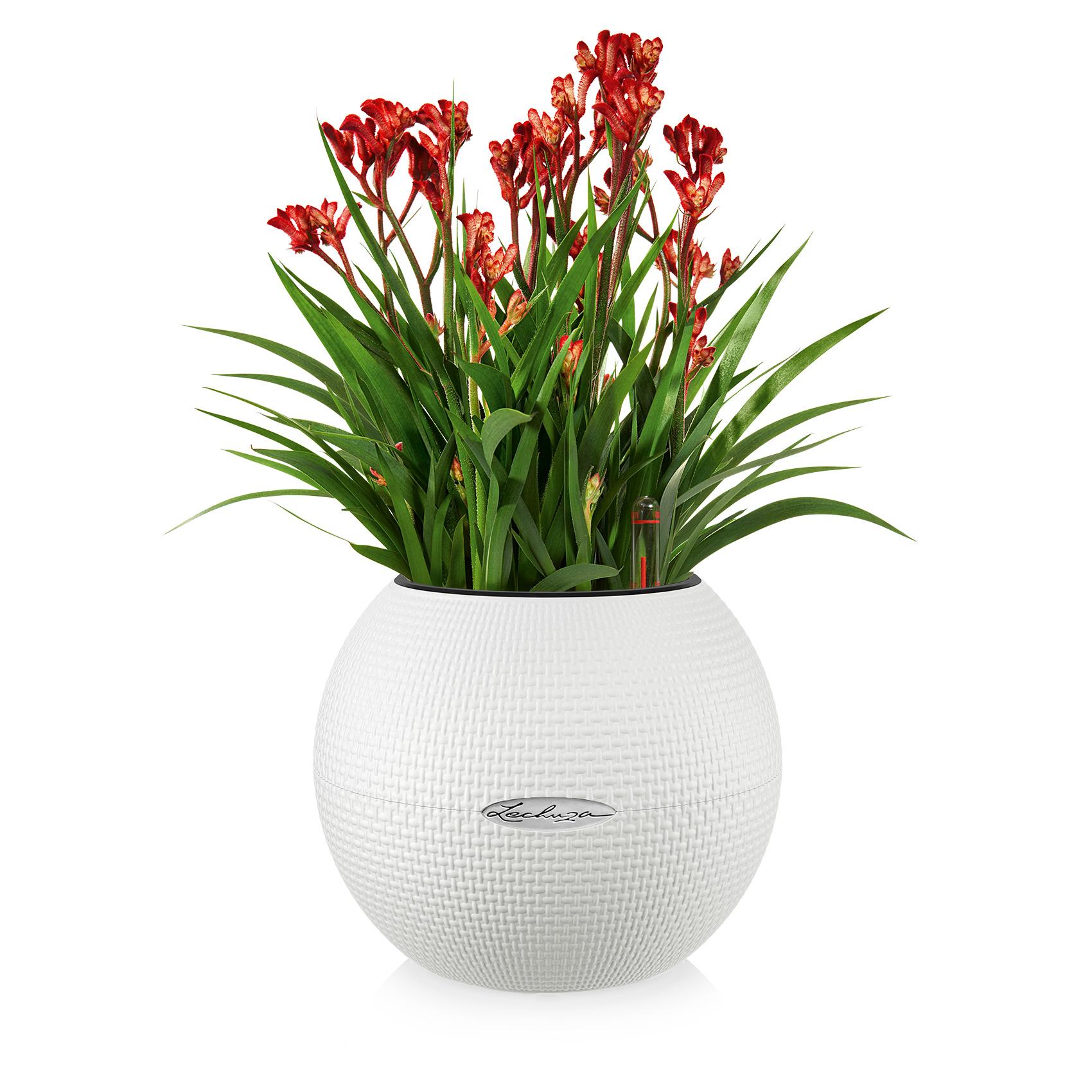 LECHUZA-PURO Color 20 white